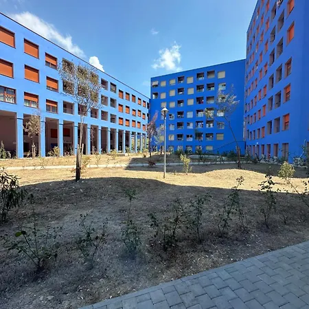 Sunflower Tirana